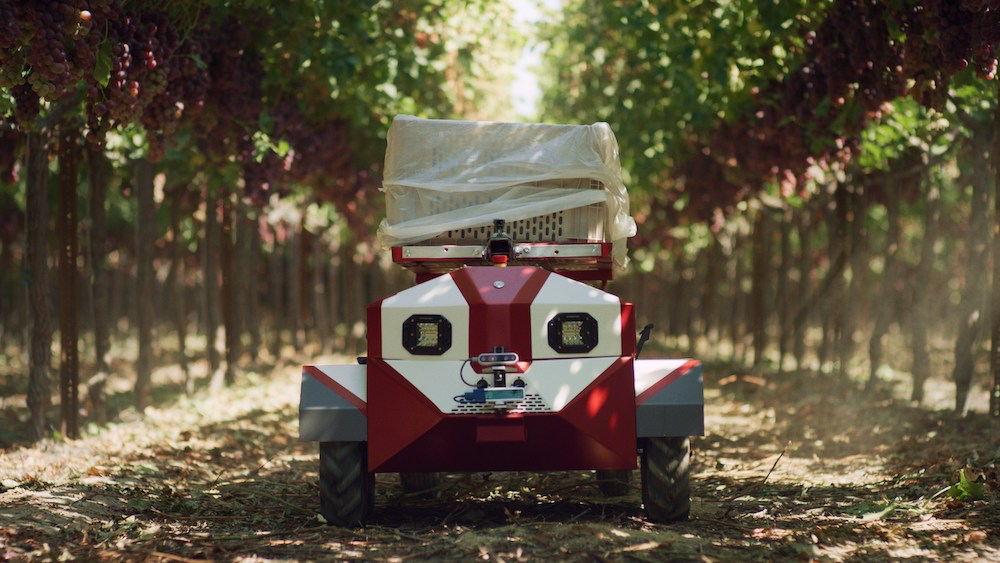 Future Acres has its sights set on producing an autonomous, electric harvesting robot to help farmers gather hand-picked crops faster.