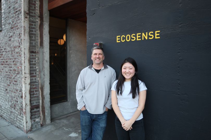 Working At Ecosense Company Overview
